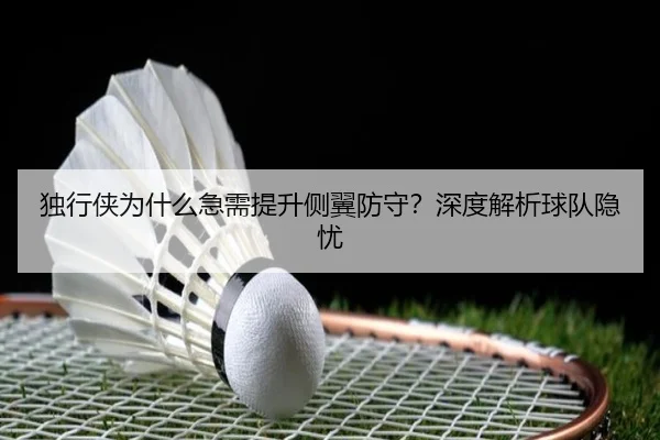 独行侠为什么急需提升侧翼防守？深度解析球队隐忧